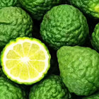 Bergamot