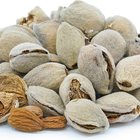 Bitter Almond