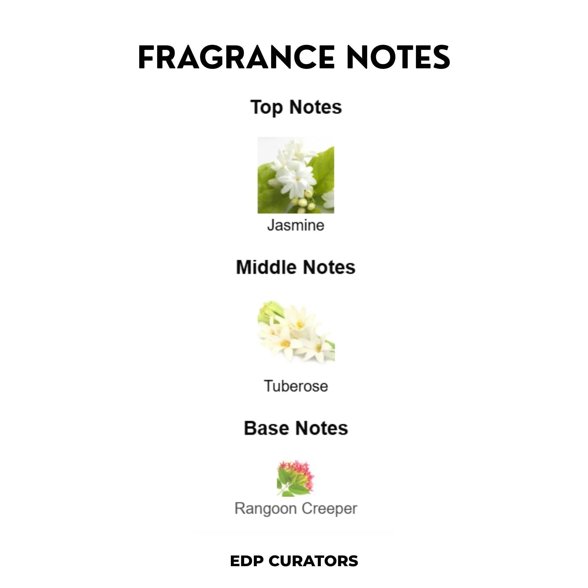 Floral Fantasy - EDP CURATORS