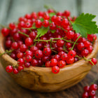 Red Currant