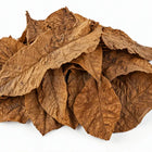 Tobacco Leaf