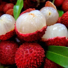 Lychee