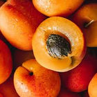 Apricot